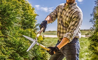 Image for Hedge Shears