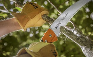 Image for Hand Pruning Saws
