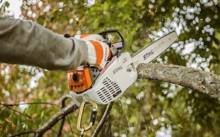 Image for In-Tree Saws