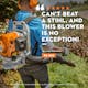 Image with user review for BR 200 that reads "Can't beat a STIHL, and this blower is no exception!" 
