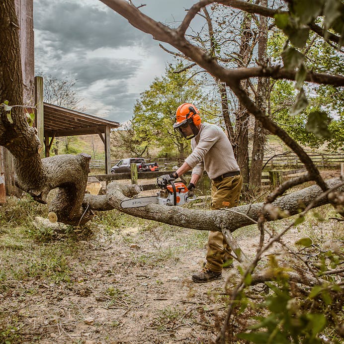 Man cutting branch with MS 261 C-M