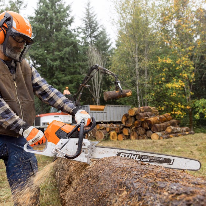 Man cutting tree trunk with MS 661 R C-M MAGNUM®  wearing STIHL PPE