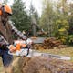 Man cutting tree trunk with MS 661 R C-M MAGNUM®  wearing STIHL PPE