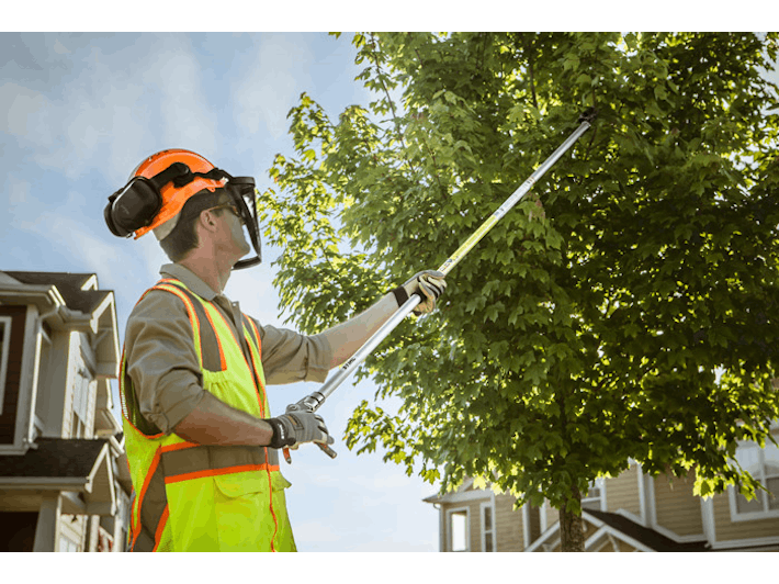 Man in STHL protective gear trimming tree with the PP 101