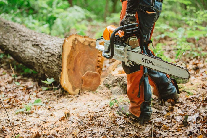 MS 462 C-M | Professional Saws | STIHL USA