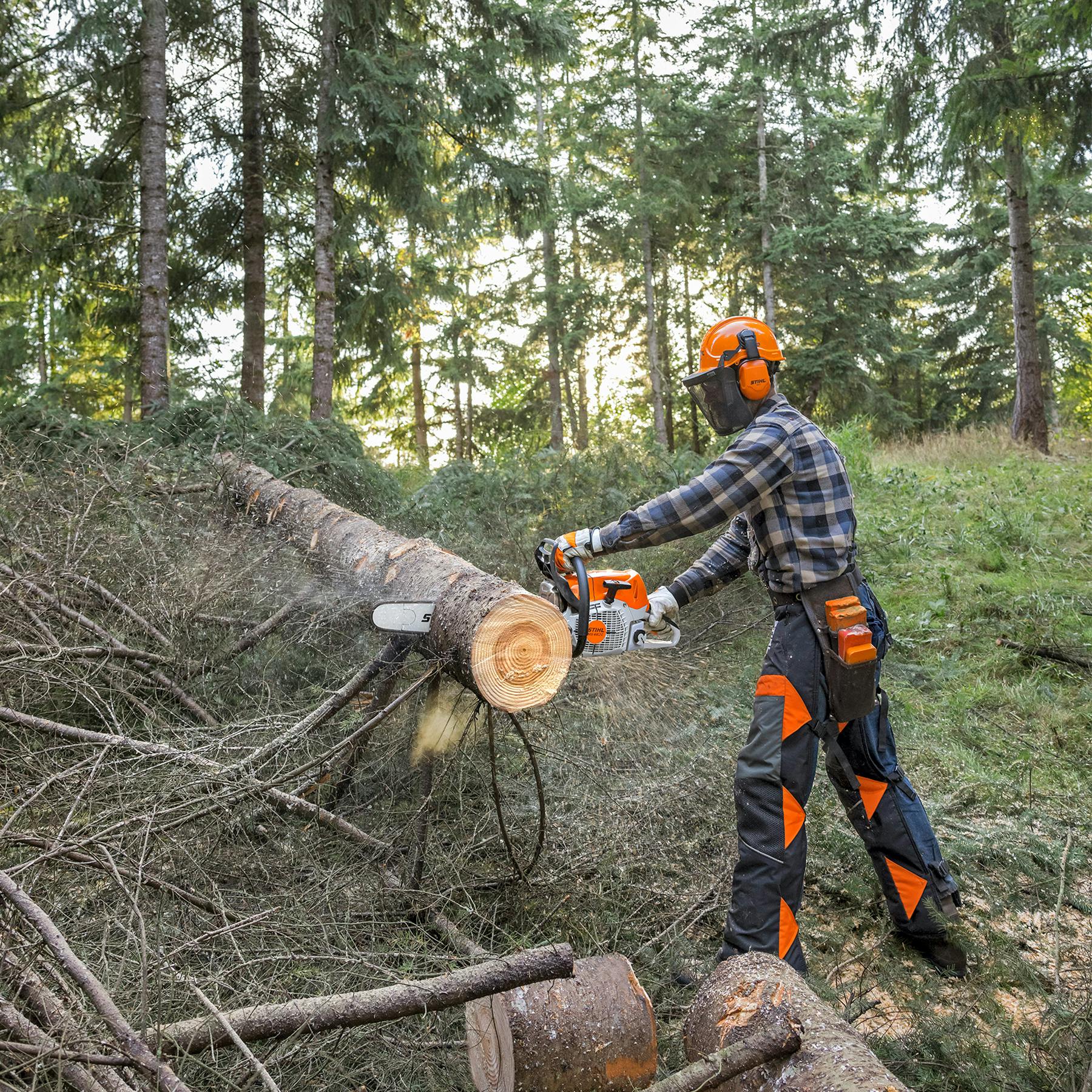 MS 462 C-M | Professional Saws | STIHL USA