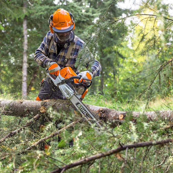 Man cutting trunk with MS 462 R C-M in STIHL PPE