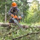 Man cutting trunk with MS 462 R C-M in STIHL PPE