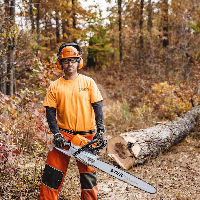 Man holding MS 462 R C-M in front of cut down tree