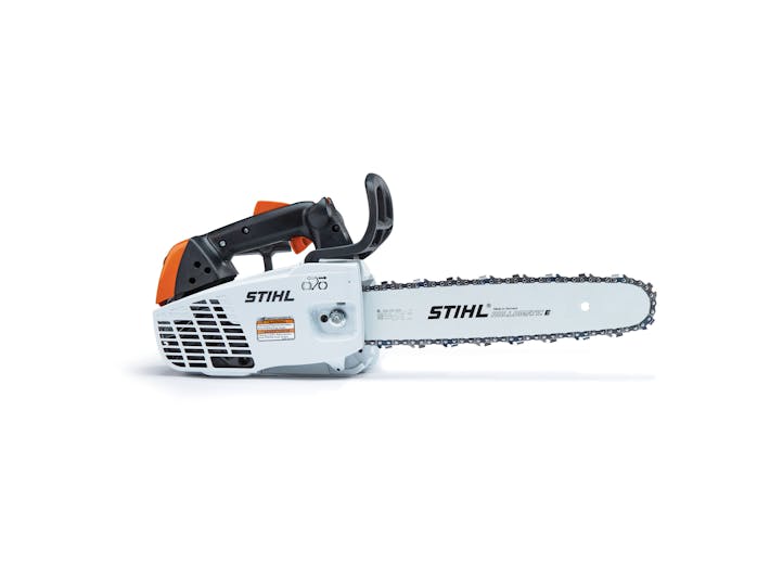 Special diet Sanders MS 194 T | Chainsaws | STIHL USA