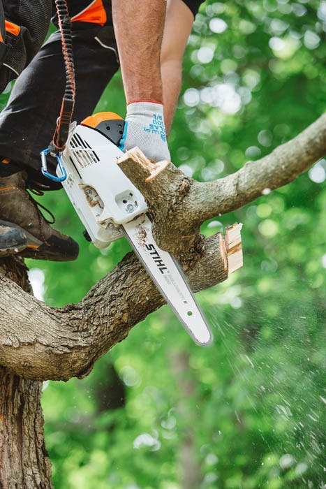 Saw Chains Select The Stihl Chainsaw Model & Bar Length 