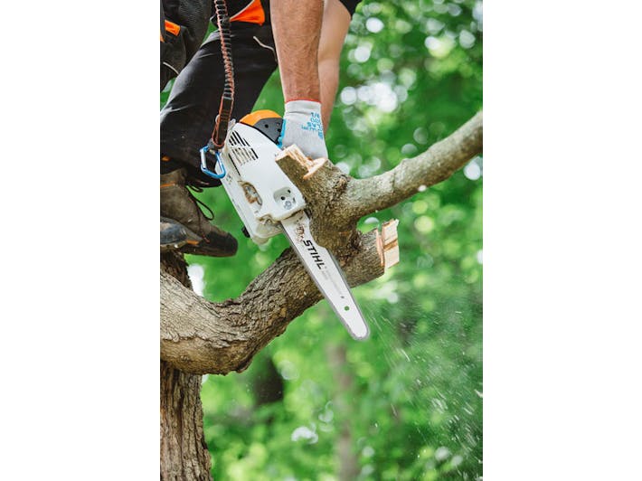 Man in tree cutting branch with MS 151 T C-E