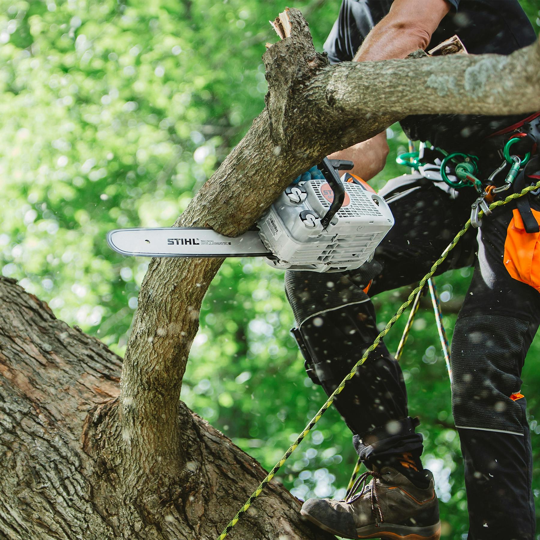 MS 151 T C-E | Chainsaws | STIHL USA