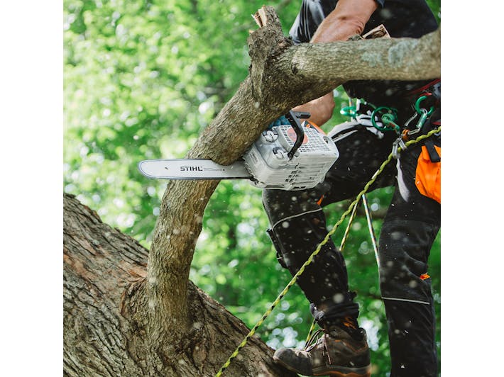 Man in tree cutting a branch with MS 151 T C-E 