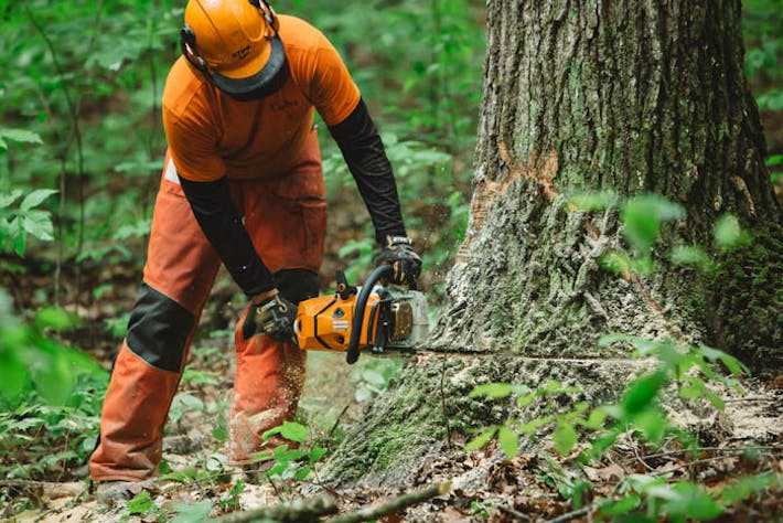 MS 500i, Chainsaws