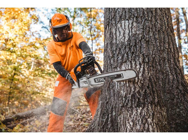 	Man cutting trunk of tree with MS 500i