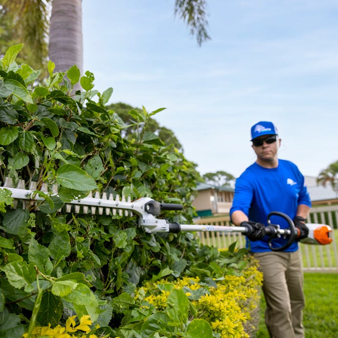 Man using HLA 135 (145°) to trim hedges