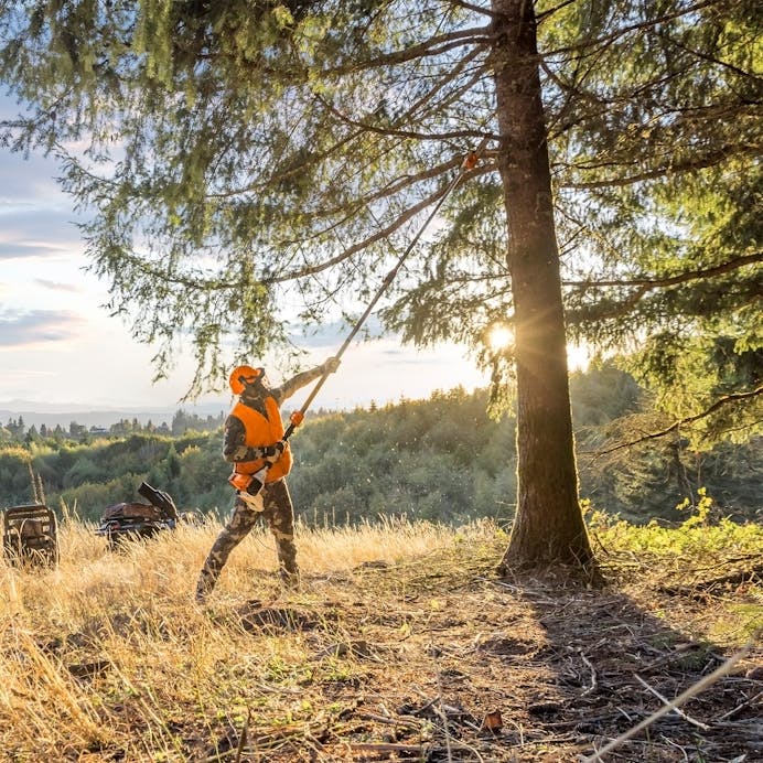 2025春の新作 | 135 HT Pole USA STIHL | Pruners 農業・園芸用機器