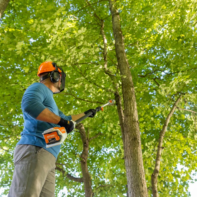 HTA 50 | Pole Pruners | STIHL USA HTA 50 | Pole Pruners | STIHL USA