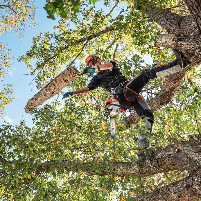 MSA 220 TC-O Top Handle Chainsaw | Battery Chainsaws | STIHL USA MSA 220 TC-O Top Handle Chainsaw | Battery Chainsaws | STIHL USA
