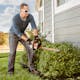 Man trimming hedges with HSA 40 in STIHL PPE