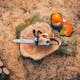 View from above of a STIHL MS 170 Chainsaw resting on a tree stump next to some STIHL protective wear