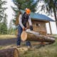 Man using MS 250 Chainsaw to cut log