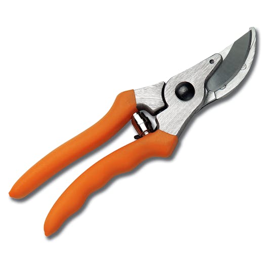 Pruning Shears: The Go-To Garden Tool