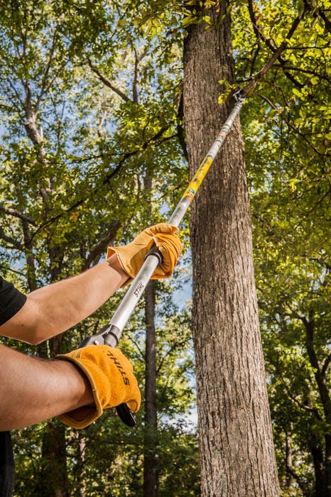 PP 100 Extended Reach Pruner Precise Pruning Tool STIHL USA