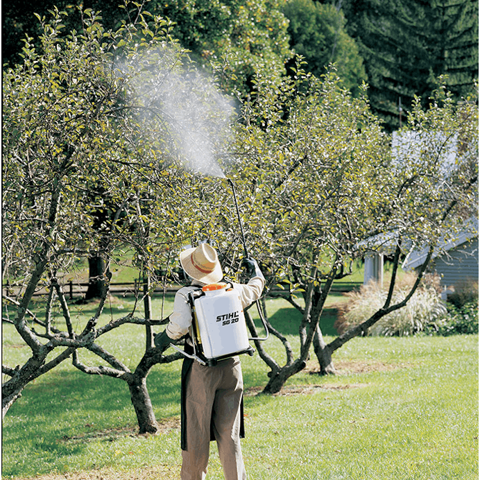 Man spraying trees with the SG 20 