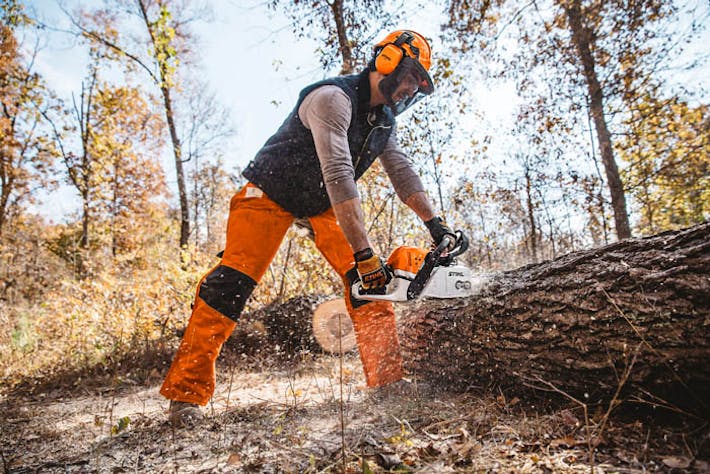 Stihl MS 500i quick action and fast cutting (dry & dirty oak