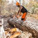 Man wearing STIHL protective gear cutting a log with MS 391