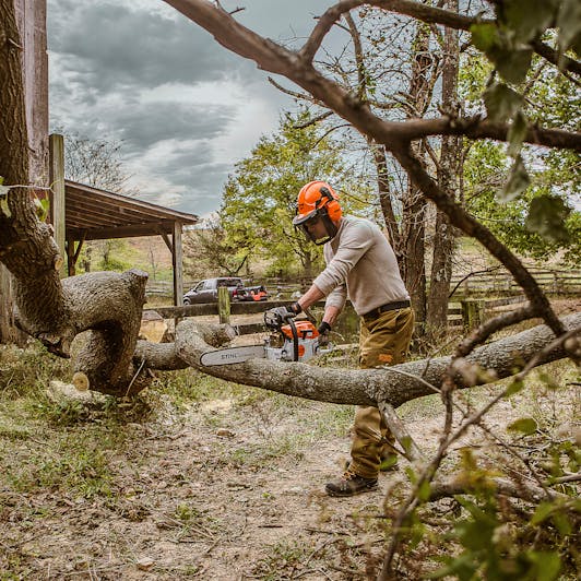 MS 261 Chainsaw, Professional Use Chainsaw